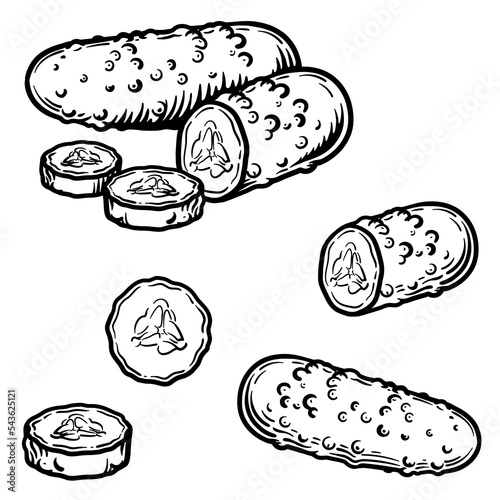 Vector illustration of a cucumber in engraving style. Half and slice of cucumber isolated on white background.