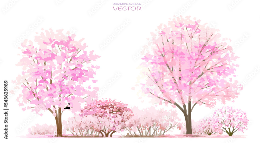 Vector watercolor blooming flower,tree or forest side view isolated on white background for landscape and architecture drawing,elements for environment and garden,botanical for section in spring 