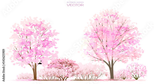 Vector watercolor blooming flower,tree or forest side view isolated on white background for landscape and architecture drawing,elements for environment and garden,botanical for section in spring 