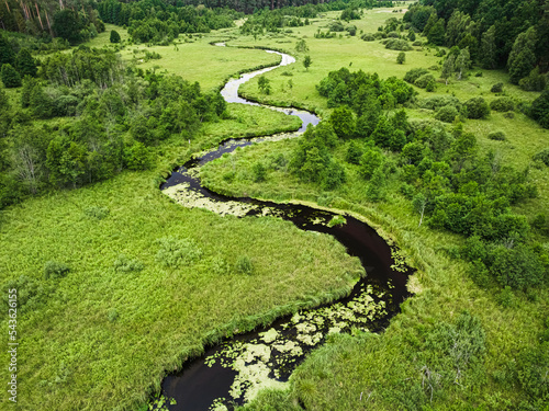Winding river in swamps in summer, aerial view