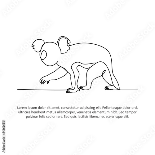 Koala line design. Wildlife decorative elements drawn with one continuous line. Vector illustration of minimalist style on white background. photo