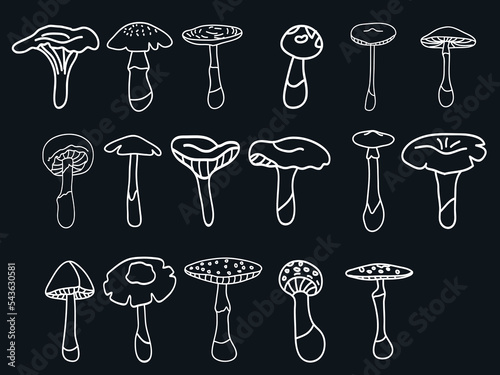 hand drawn mushrooms outline related icons thin vector icon set, black and white kit