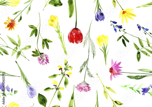 watercolor drawing seamless pattern with wild flowers at white background, hand drawn illustration