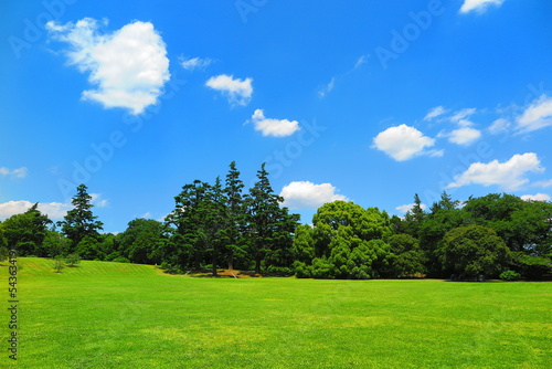 青空と緑でいっぱいの昭和記念公園のふれあい広場の風景2