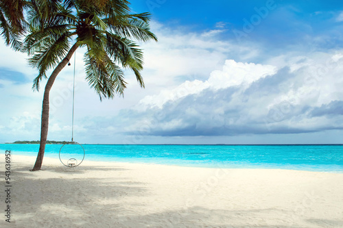 A deserted sandy beach on the Indian Ocean. Palm tree on a sunny day on the coast of the Maldives island