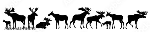 Moose set. Elk adult males and females. Moose cubs. Silhouette picture. Animals in wild. Isolated on white background. Vector.