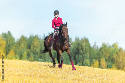 Horse galopping on a yellow field with pink tack. © Rikke S