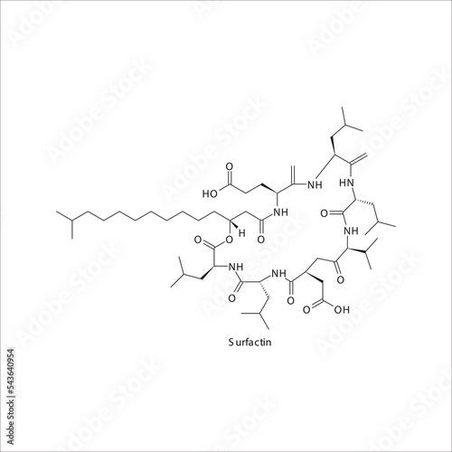Surfactin  flat skeletal molecular structure Lipopeptide antibiotic drug used in  treatment. Vector illustration.