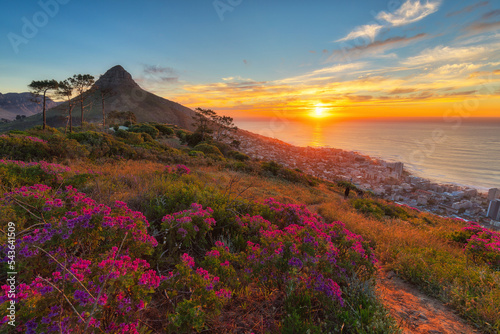 Lion's Head during sunset seen from Signal Hill, Cape Town, South Africa photo