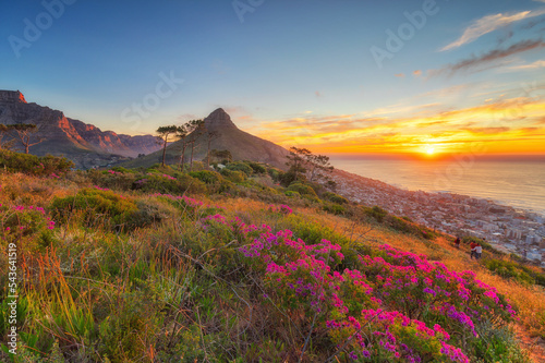 Lion's Head during sunset seen from Signal Hill, Cape Town, South Africa photo