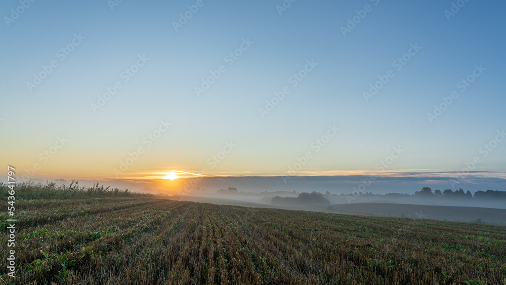 foggy on the mown field, sunrise in countryside.