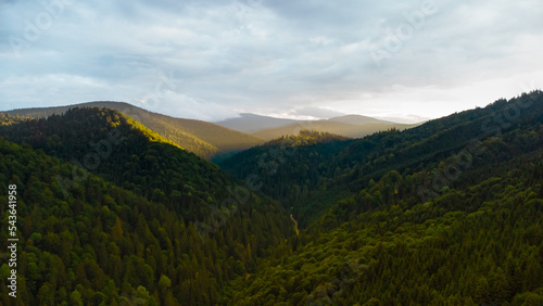 mountains and forests photographed from a drone Transylvania, Romania