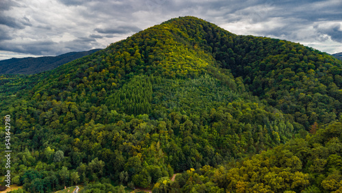 mountains and forests photographed from a drone Transylvania, Romania