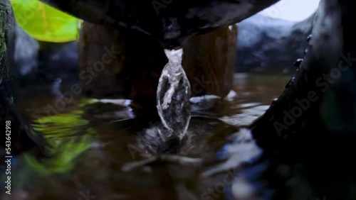 4k video footage Close up of a mini waterfall flowing in a mini black rock fish pond, very beautiful for cinematic videos photo