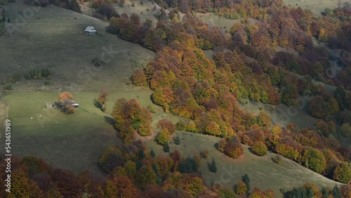 Shadow of clouds move over ferest and pasture mountains with cow in autumn colors on a clear autumn day. Timepalse HD video. photo