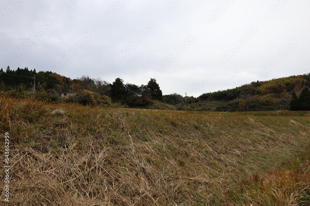 Fototapeta premium 日本の田舎