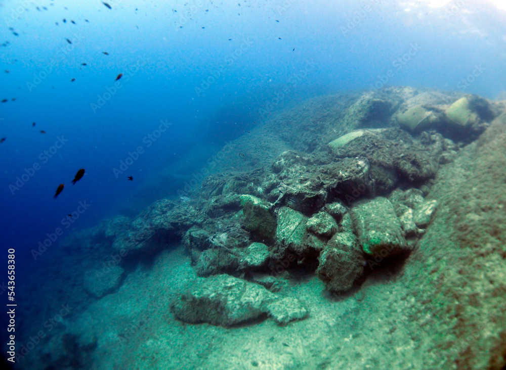 Obraz premium Scuba Diving and Underwater Photography Malta Gozo Comino - Wrecks Reefs Marine Life Caverns Caves History 