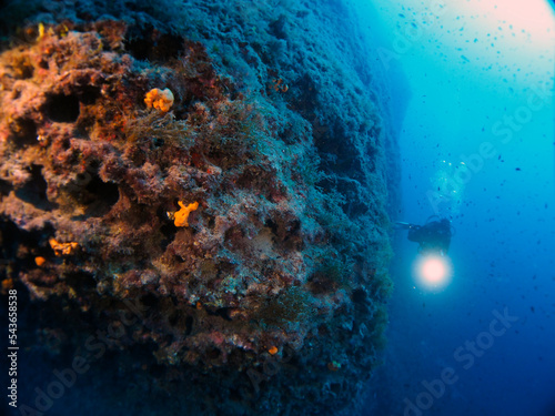 Scuba Diving and Underwater Photography Malta Gozo Comino - Wrecks Reefs Marine Life Caverns Caves History
 photo