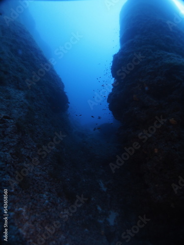 Scuba Diving and Underwater Photography Malta Gozo Comino - Wrecks Reefs Marine Life Caverns Caves History 