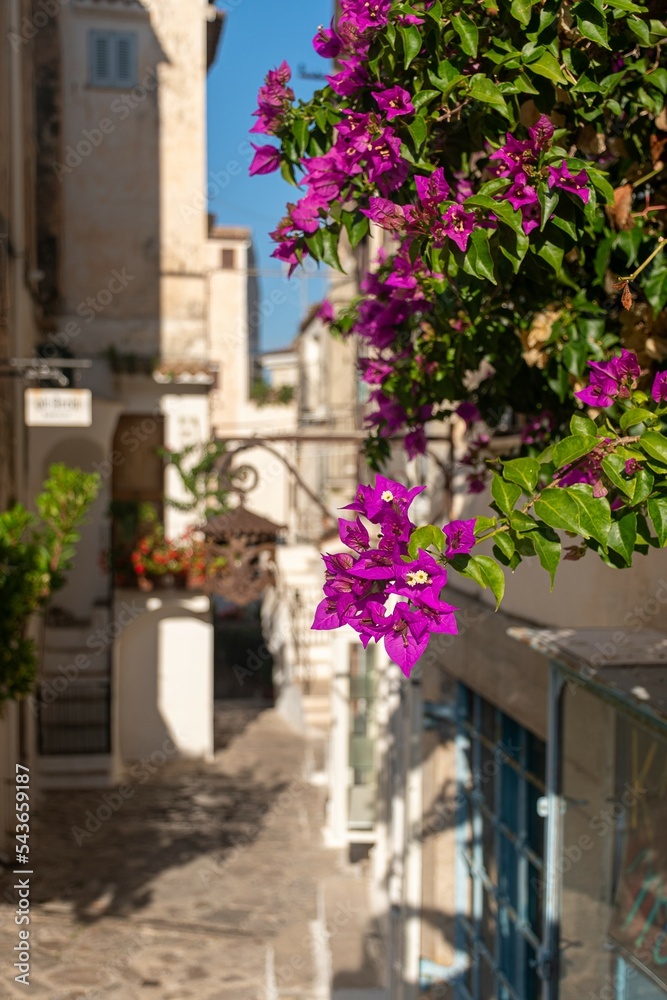 Naklejka premium Tra i vicoli di Sperlonga - Latina - Lazio - Italia