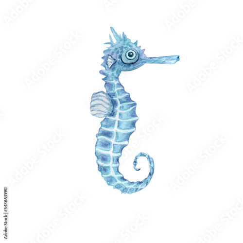 Seahorse in a watercolor style isolated on white background. Sea, ocean, marine fauna. for banner poster print postcard, textile template card clipart