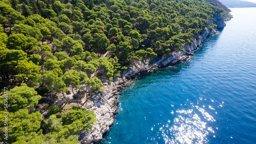 Fototapeta Naklejka Na Ścianę i Meble -  A beautiful view of Makarska/Tucepi beach through the pines. Dalmatia, Croatia.