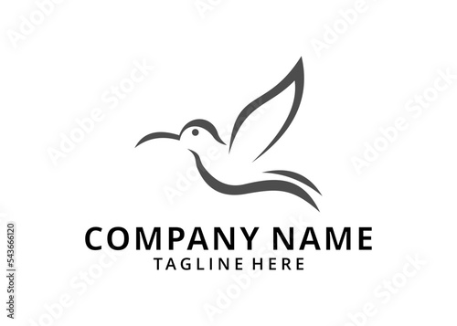 illustration colibri vector logo design 