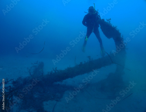 Scuba Diving and Underwater Photography Malta - Wrecks Reefs Marine Life Caverns Caves History