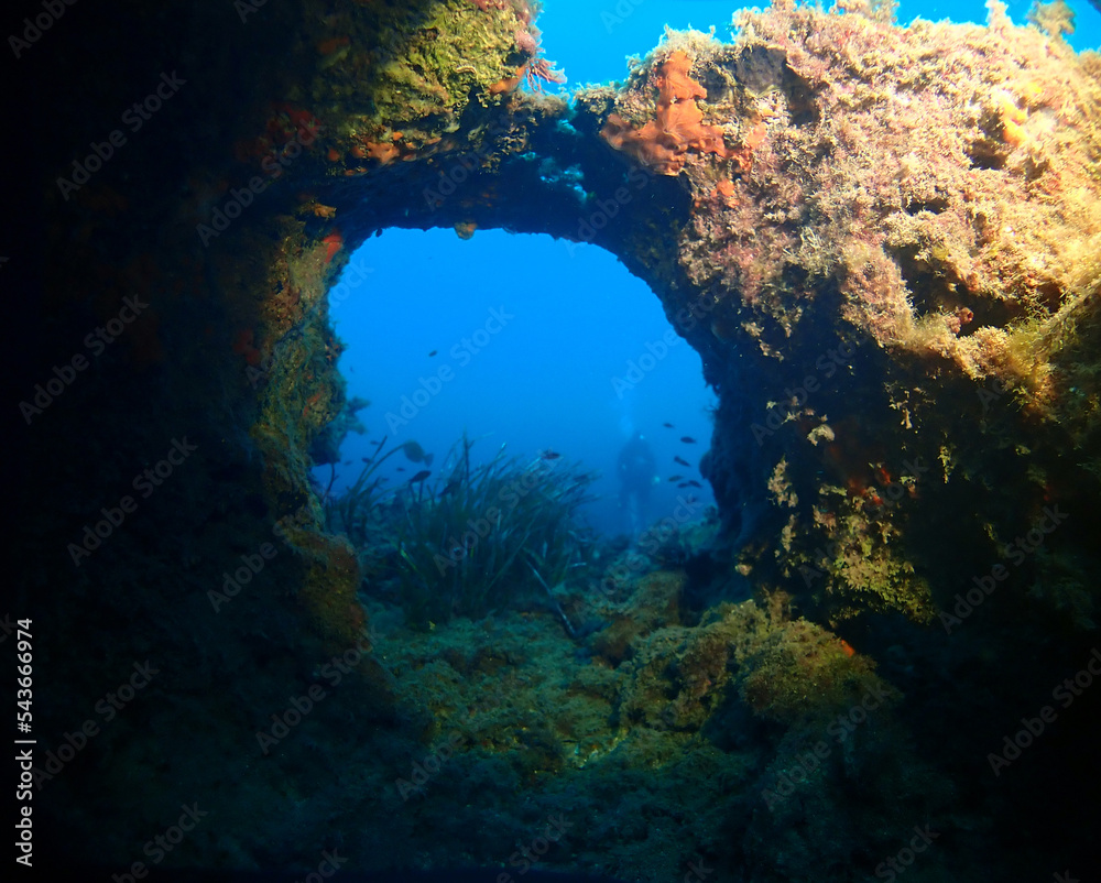 Scuba Diving and Underwater Photography Malta - Wrecks Reefs Marine Life Caverns Caves History
