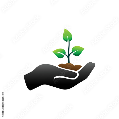 plant in hand. reforestation program vector illustration.