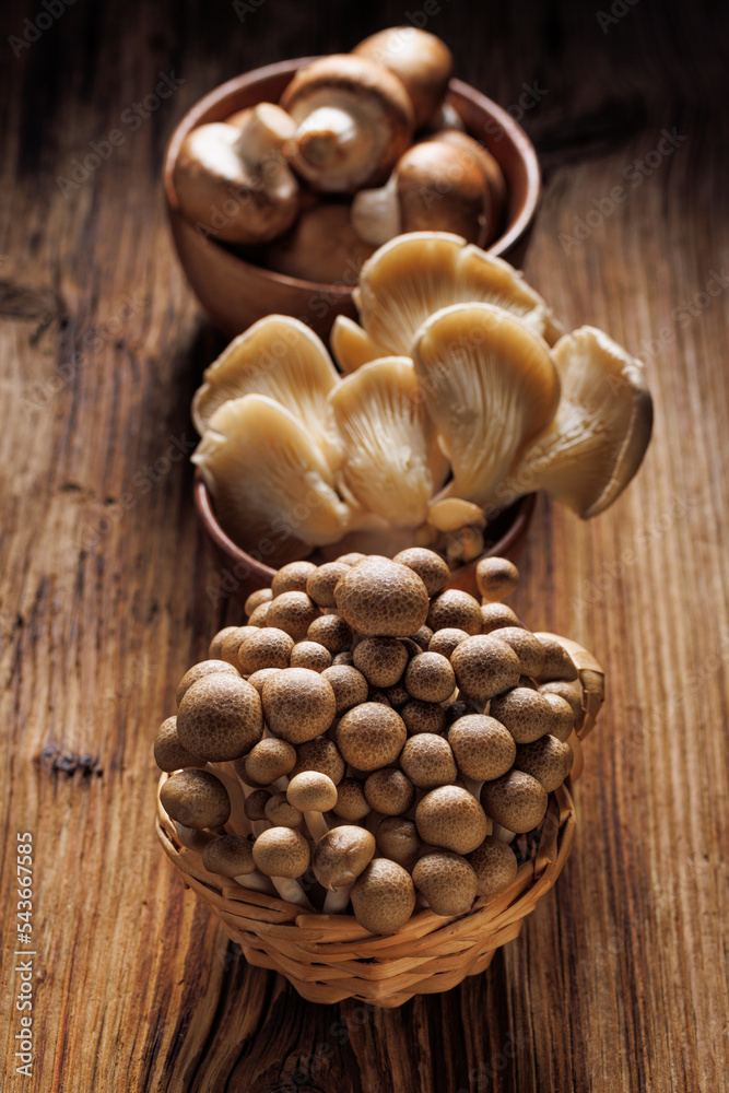 Different species of mushrooms on a wooden table, focus on the shimeji mushrooms in the front Different species of mushrooms on a wooden table, focus on the shimeji mushrooms in the front