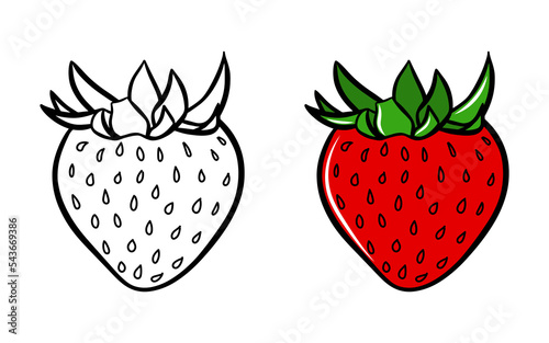 Sweet strawberry icon set isolated on white background. Vector outline silhouette, fruit food sketch drawing, doodle graphic logo design, flat cartoon dessert.