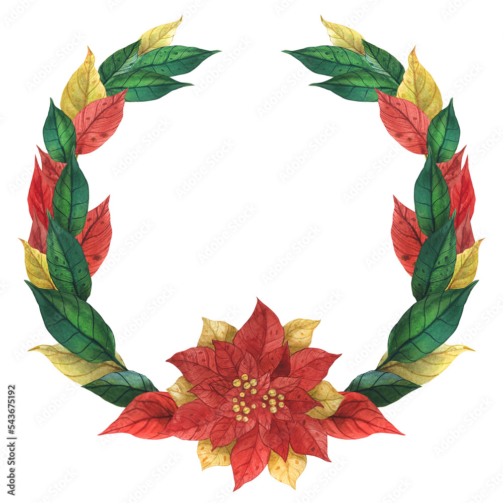 Fototapeta premium Christmas floral wreath with winter plant poinsettia. Watercolor round border