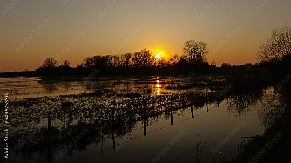 Warm orange sunset over the marsh with tree silhouettes in the background in Bourgoyen nature reserve, Ghent, Flanders, Belgium 