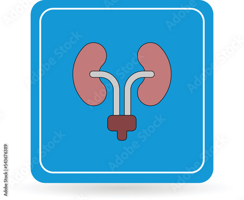 urology