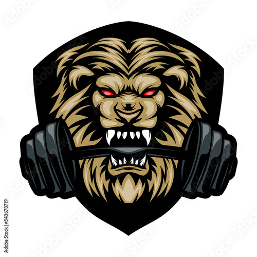 Lion head illustration logo biting a barbell