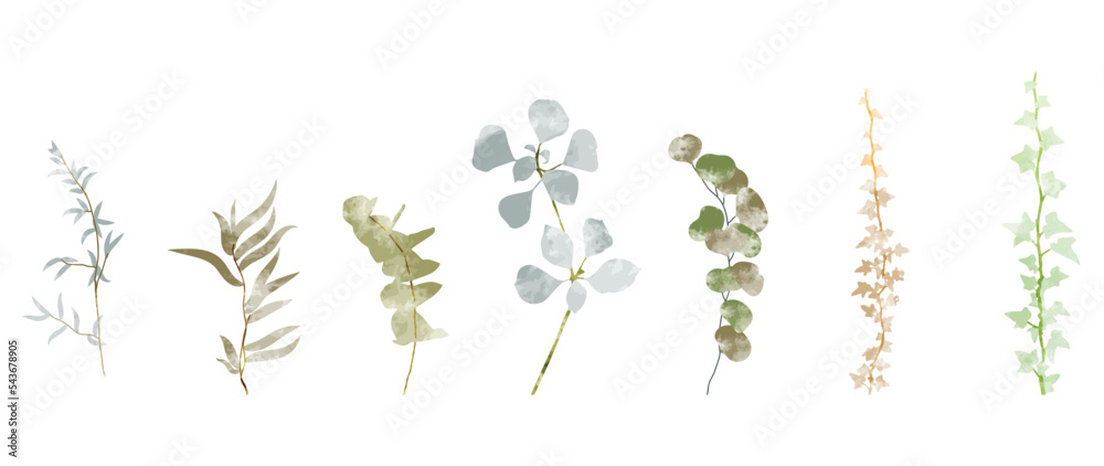 Set of watercolor winter botanical leaves vector background. Collection of abstract hand drawn winter leaf branches on white background. Design illustration for sticker, poster, banner, decoration.
