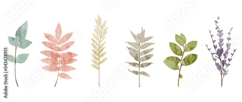 Set of watercolor winter botanical leaves vector background. Collection of abstract hand drawn winter leaf branches on white background. Design illustration for sticker, poster, banner, decoration.