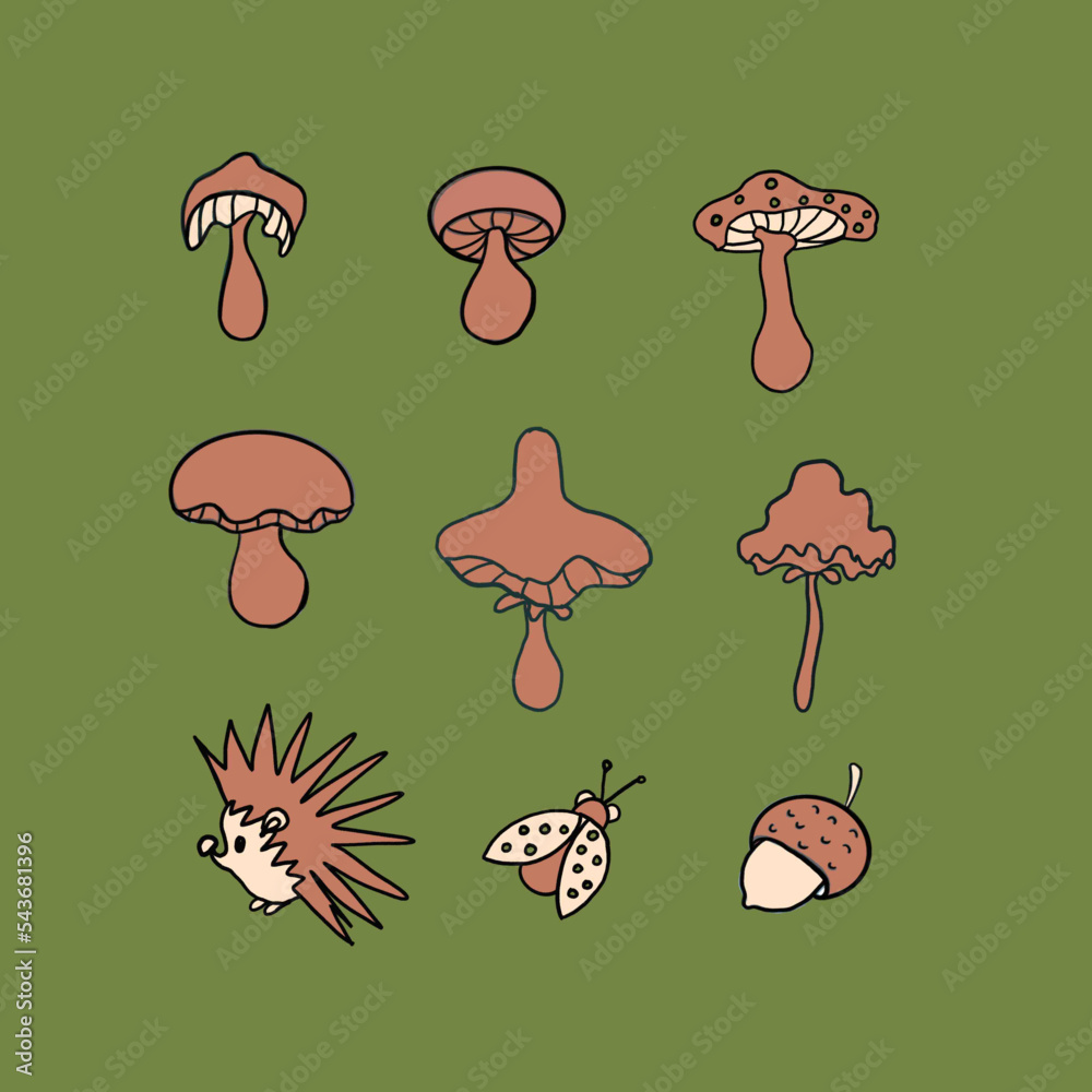 Fototapeta premium mushrooms on a tree mushrooms,champignon,porcini mushroom,chanterelle,different types of mushrooms,forest mushrooms,hedgehog,acorns,leaves,spikelets,botany,plants,fruits
