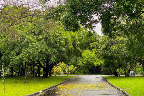Public park after rain