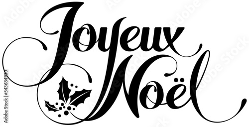 Joyeux Noel = Merry Christmas in French