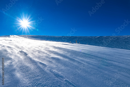 Winter mountains powder slope. Carpathians hill snow covered © FedBul