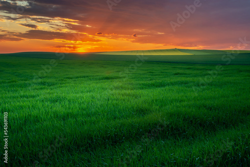 Colorful clouds during sunset and green fields