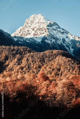 Autumn landscape in the mountains. Autumn forest with snow-covered mountain.
