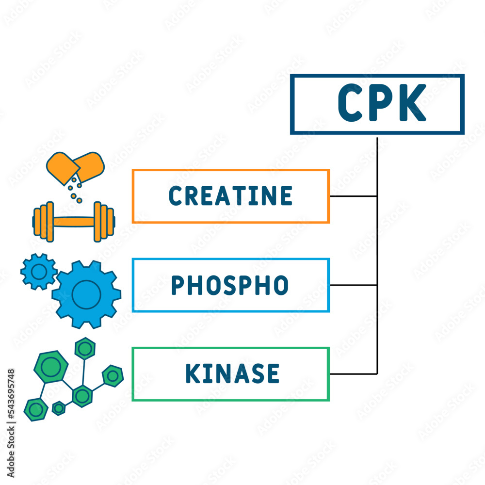 CPK Creatine Phosphokinase acronym. business concept background. vector ...