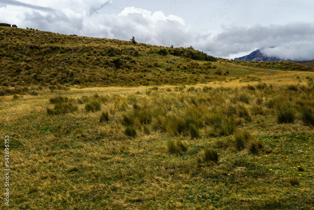 Fototapeta premium Landscape view Cotopaxi National Park, Ecuador