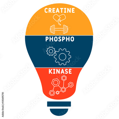 CPK Creatine Phosphokinase  acronym. business concept background.  vector illustration concept with keywords and icons. lettering illustration with icons for web banner, flyer, landing 