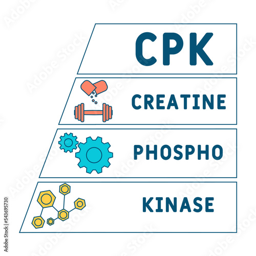 CPK Creatine Phosphokinase  acronym. business concept background.  vector illustration concept with keywords and icons. lettering illustration with icons for web banner, flyer, landing 