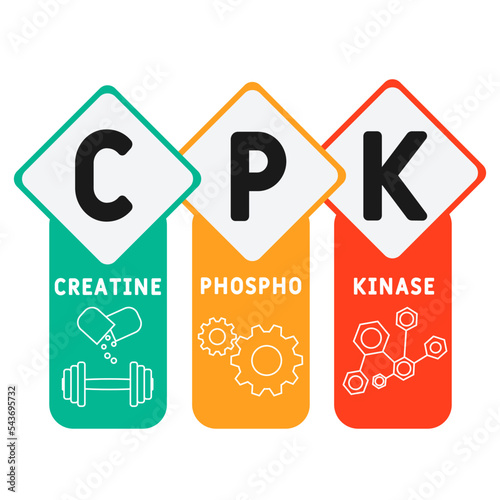 CPK Creatine Phosphokinase  acronym. business concept background.  vector illustration concept with keywords and icons. lettering illustration with icons for web banner, flyer, landing 