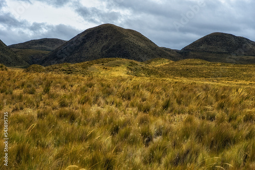 Landscape view Cotopaxi National Park, Ecuador
